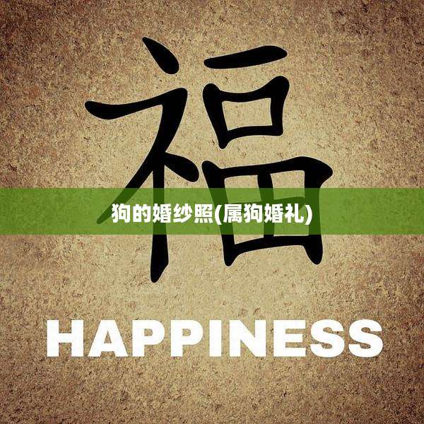 狗的婚纱照(属狗婚礼)
