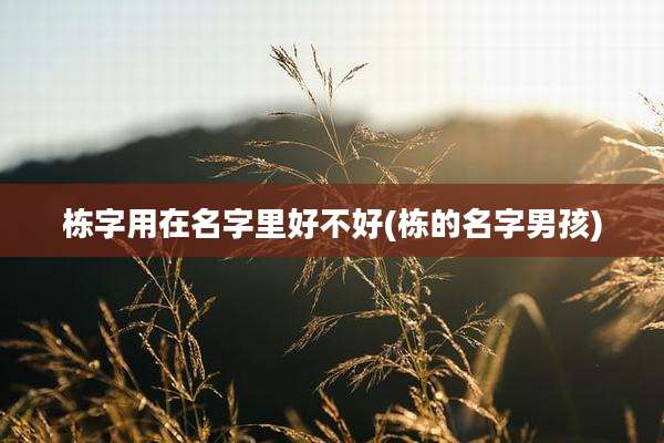 栋字用在名字里好不好(栋的名字男孩)