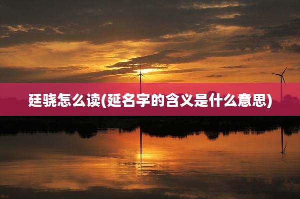 廷骁怎么读(延名字的含义是什么意思)