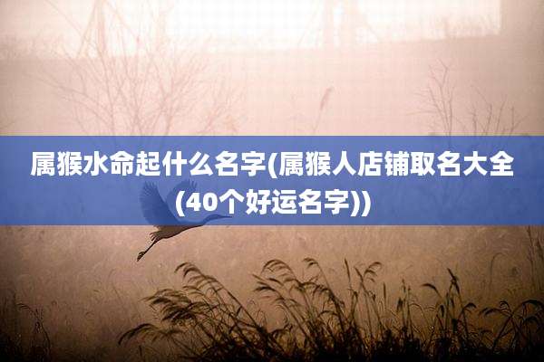 属猴水命起什么名字(属猴人店铺取名大全(40个好运名字))