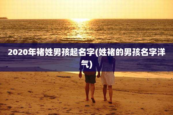 2020年褚姓男孩起名字(姓褚的男孩名字洋气)