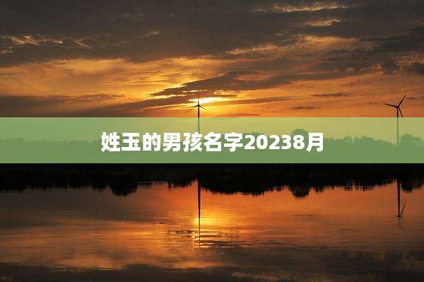 姓玉的男孩名字20238月