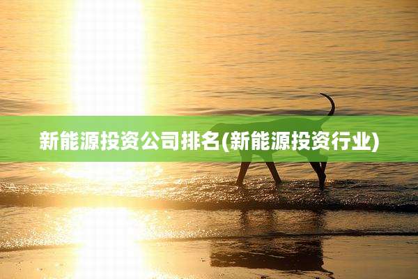 新能源投资公司排名(新能源投资行业)