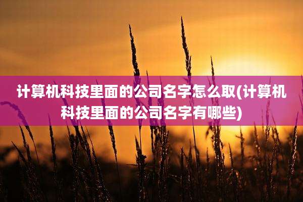 计算机科技里面的公司名字怎么取(计算机科技里面的公司名字有哪些)