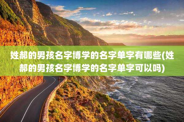 姓郝的男孩名字博学的名字单字有哪些(姓郝的男孩名字博学的名字单字可以吗)