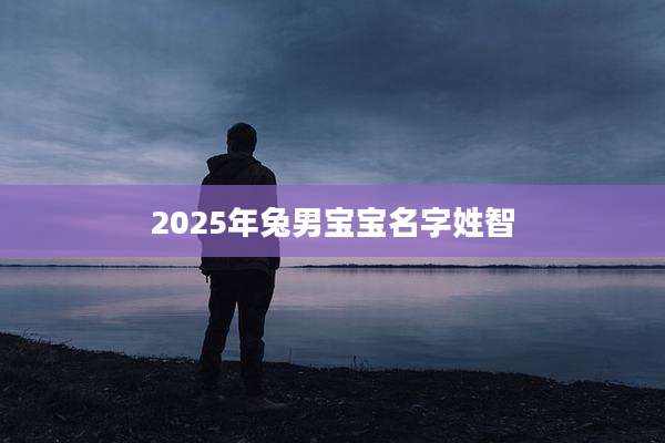 2025年兔男宝宝名字姓智