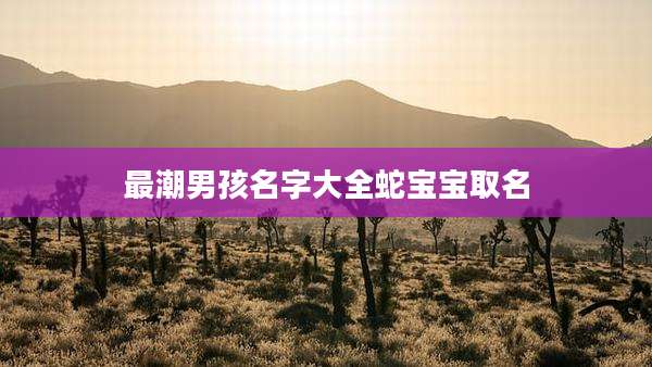 最潮男孩名字大全蛇宝宝取名