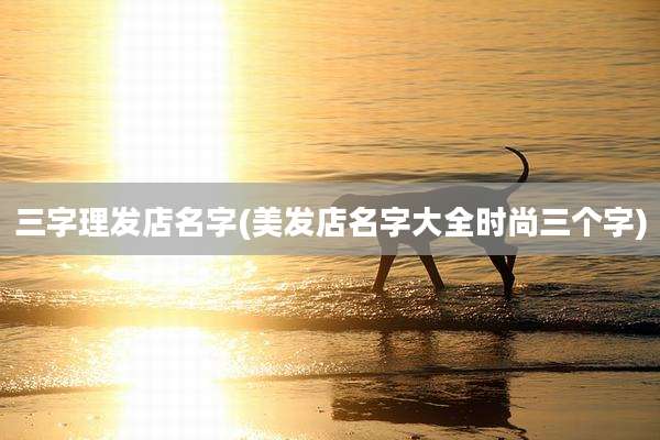 三字理发店名字(美发店名字大全时尚三个字)