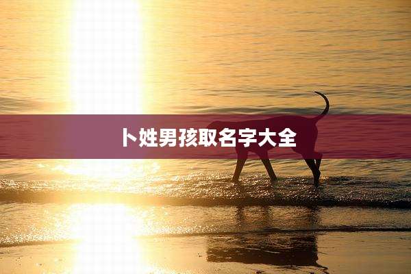卜姓男孩取名字大全