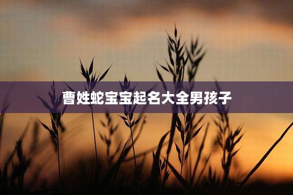 曹姓蛇宝宝起名大全男孩子