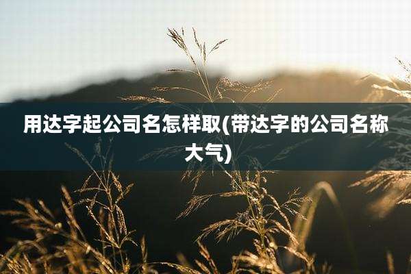 用达字起公司名怎样取(带达字的公司名称 大气)