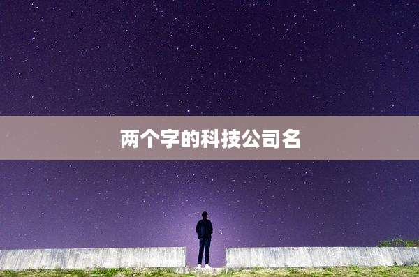 两个字的科技公司名