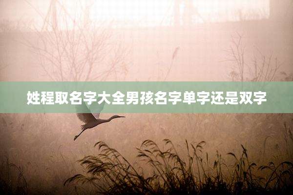 姓程取名字大全男孩名字单字还是双字