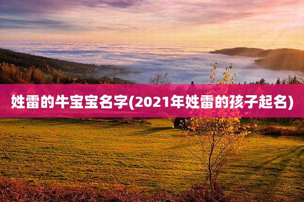 姓雷的牛宝宝名字(2021年姓雷的孩子起名)