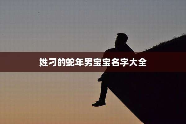 姓刁的蛇年男宝宝名字大全