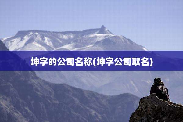 坤字的公司名称(坤字公司取名)