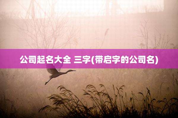 公司起名大全 三字(带启字的公司名)
