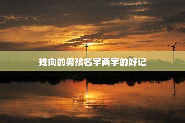 姓向的男孩名字两字的好记