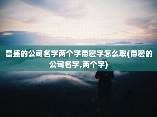 昌盛的公司名字两个字带宏字怎么取(带宏的公司名字,两个字)