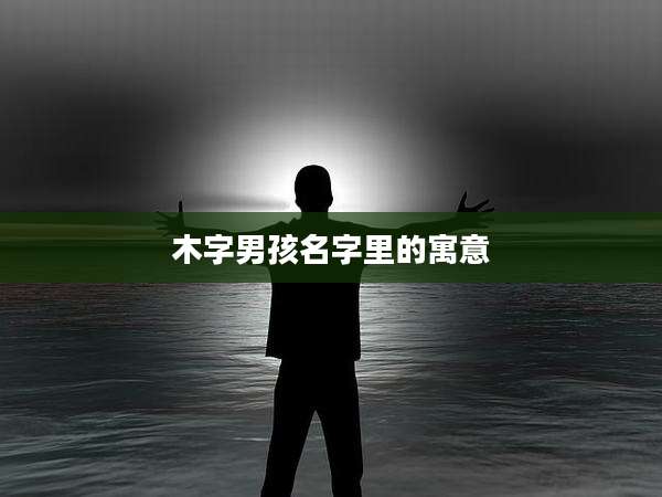 木字男孩名字里的寓意