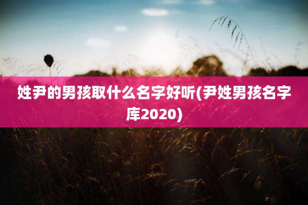 姓尹的男孩取什么名字好听(尹姓男孩名字库2020)