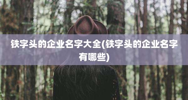 铁字头的企业名字大全(铁字头的企业名字有哪些)