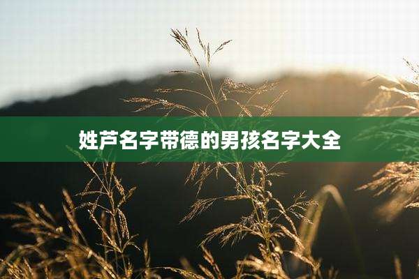 姓芦名字带德的男孩名字大全
