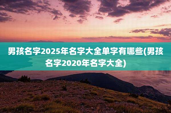 男孩名字2025年名字大全单字有哪些(男孩名字2020年名字大全)