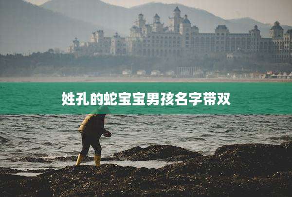 姓孔的蛇宝宝男孩名字带双