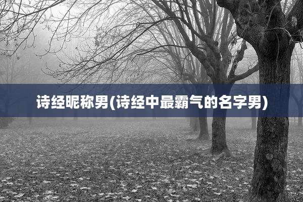 诗经昵称男(诗经中最霸气的名字男)