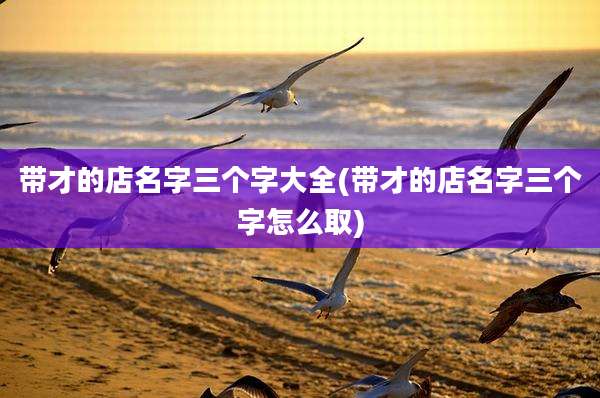 带才的店名字三个字大全(带才的店名字三个字怎么取)