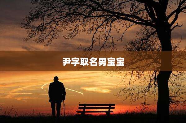 尹字取名男宝宝