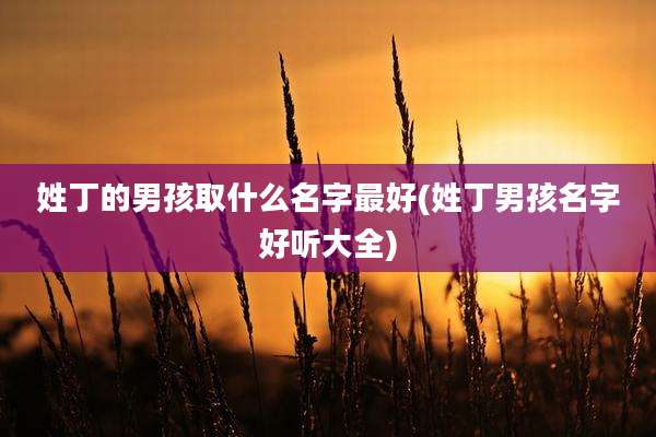 姓丁的男孩取什么名字最好(姓丁男孩名字好听大全)