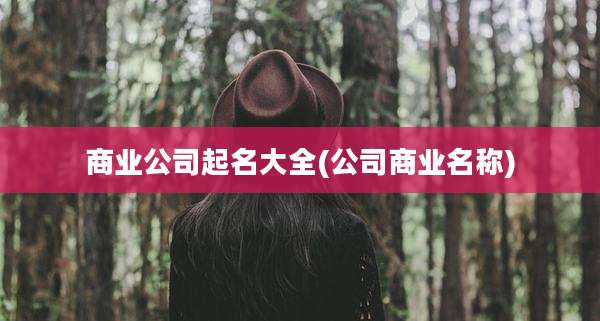 商业公司起名大全(公司商业名称)