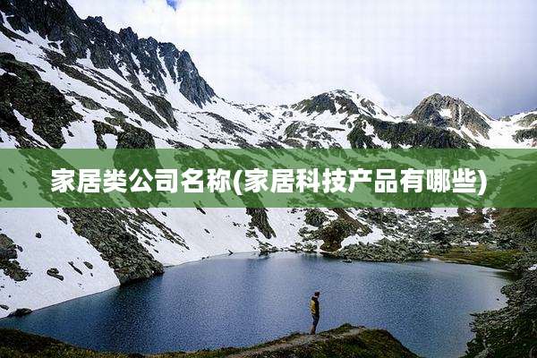 家居类公司名称(家居科技产品有哪些)