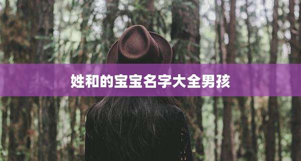 姓和的宝宝名字大全男孩