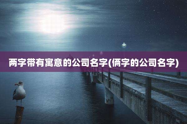 两字带有寓意的公司名字(俩字的公司名字)