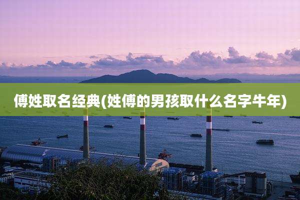 傅姓取名经典(姓傅的男孩取什么名字牛年)