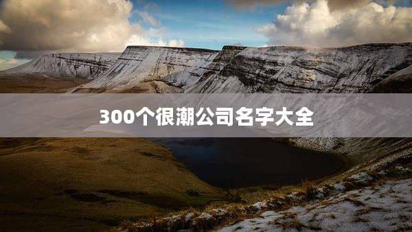 300个很潮公司名字大全