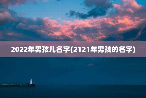 2022年男孩儿名字(2121年男孩的名字)