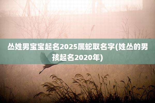 丛姓男宝宝起名2025属蛇取名字(姓丛的男孩起名2020年)