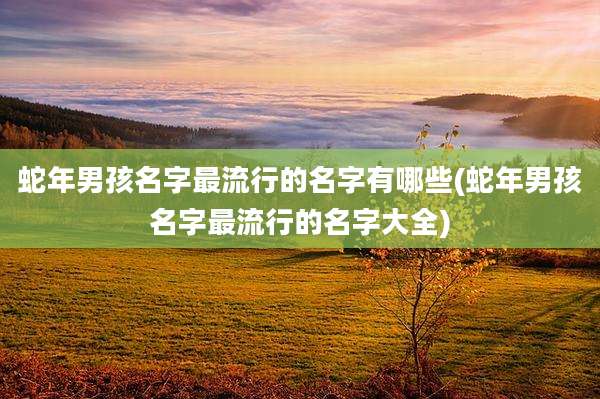 蛇年男孩名字最流行的名字有哪些(蛇年男孩名字最流行的名字大全)