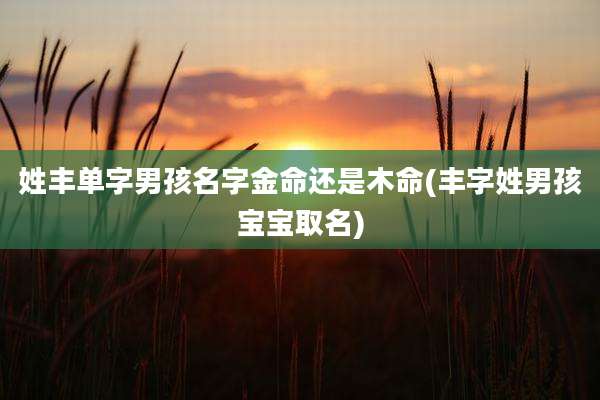 姓丰单字男孩名字金命还是木命(丰字姓男孩宝宝取名)