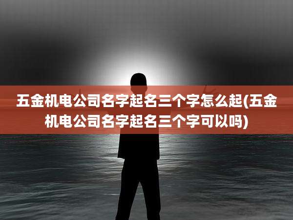 五金机电公司名字起名三个字怎么起(五金机电公司名字起名三个字可以吗)
