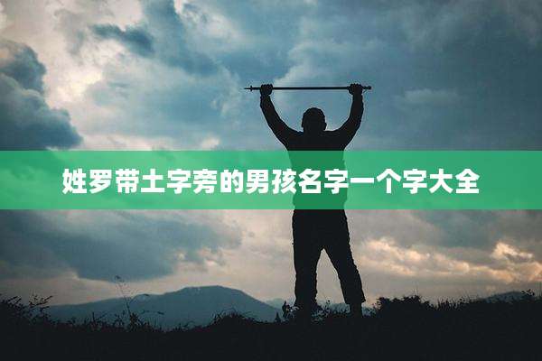 姓罗带土字旁的男孩名字一个字大全