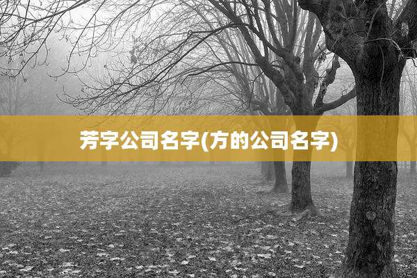 芳字公司名字(方的公司名字)