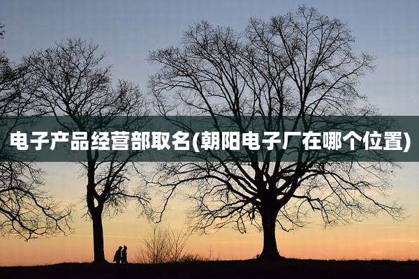 电子产品经营部取名(朝阳电子厂在哪个位置)