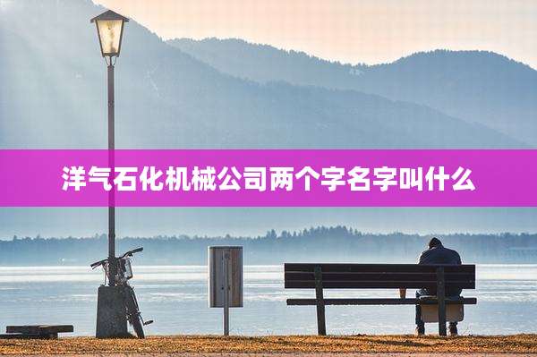 洋气石化机械公司两个字名字叫什么