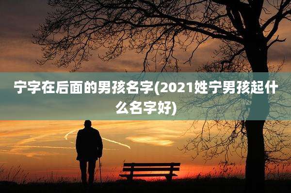 宁字在后面的男孩名字(2021姓宁男孩起什么名字好)