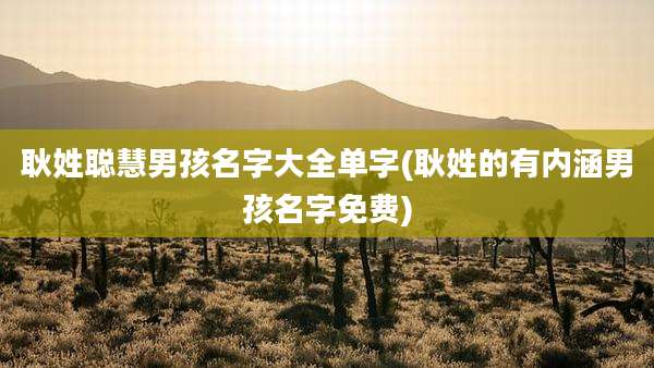 耿姓聪慧男孩名字大全单字(耿姓的有内涵男孩名字免费)